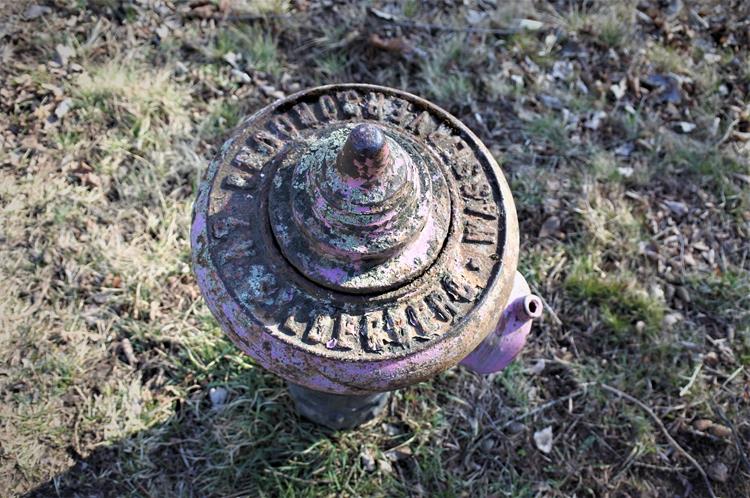 Dzikowiec - stary hydrant (3).JPG