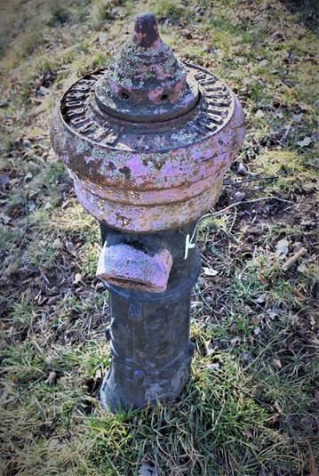 Dzikowiec - stary hydrant (4).JPG