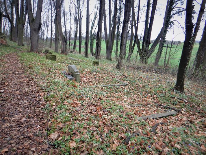 Cmentarz ewangelicki (2).JPG