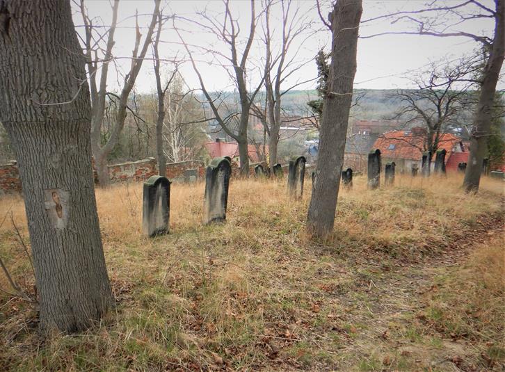 Cmentarz żydowski w Ziębicach (4).JPG
