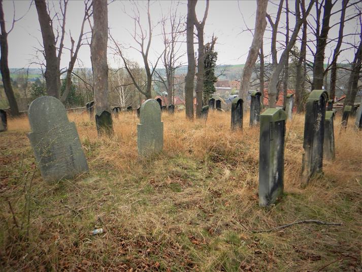Cmentarz żydowski w Ziębicach (5).JPG
