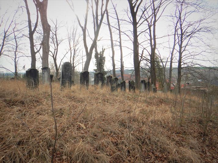 Cmentarz żydowski w Ziębicach (8).JPG