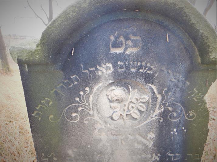 Cmentarz żydowski w Ziębicach (11).JPG