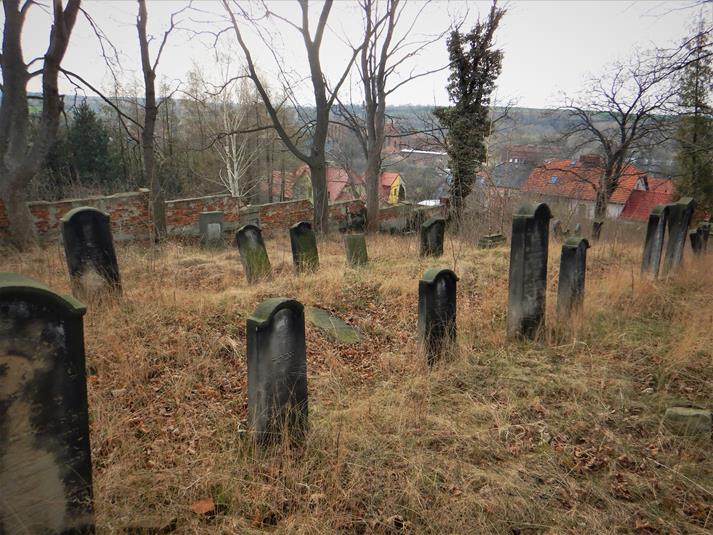 Cmentarz żydowski w Ziębicach (12).JPG