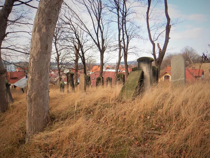 Cmentarz żydowski w Ziębicach (14).JPG