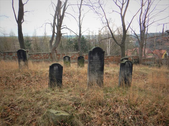 Cmentarz żydowski w Ziębicach (15).JPG