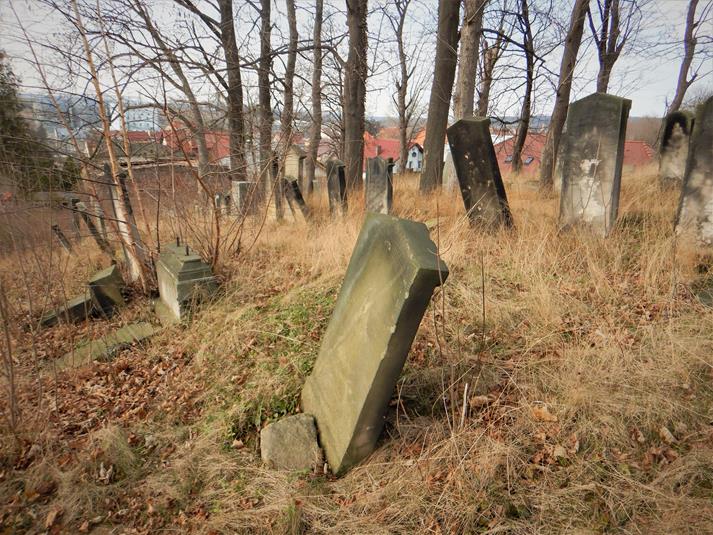 Cmentarz żydowski w Ziębicach (18).JPG