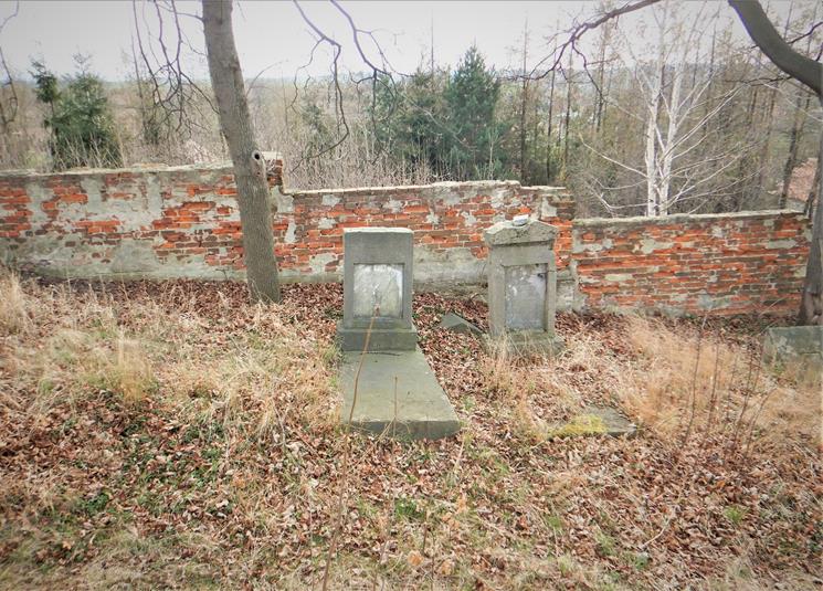 Cmentarz żydowski w Ziębicach (20).JPG