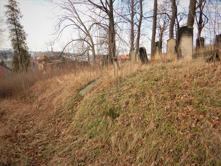 Cmentarz żydowski w Ziębicach (22).JPG