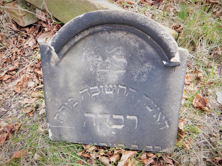 Cmentarz żydowski w Ziębicach (24).JPG