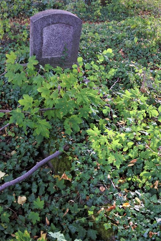 Cmentarz ewangelicki (5).JPG