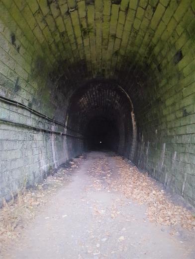 Jedlina tunele  (4).jpg