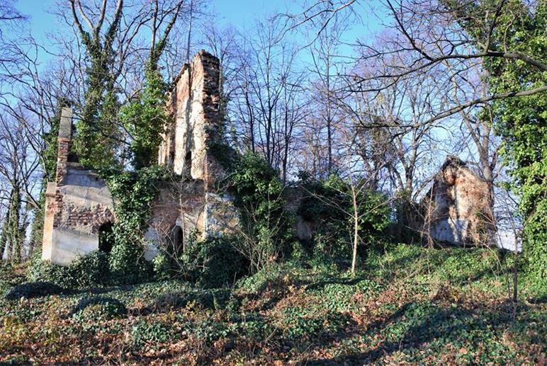 Ruiny kościoła ewangelickiego (5).JPG