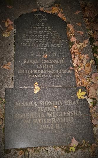 Nagrobek z cmentarza żydowskiego w Sosnowcu (1).jpg