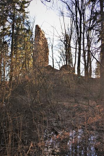 Czarny Bór - ruiny zamku (5).JPG