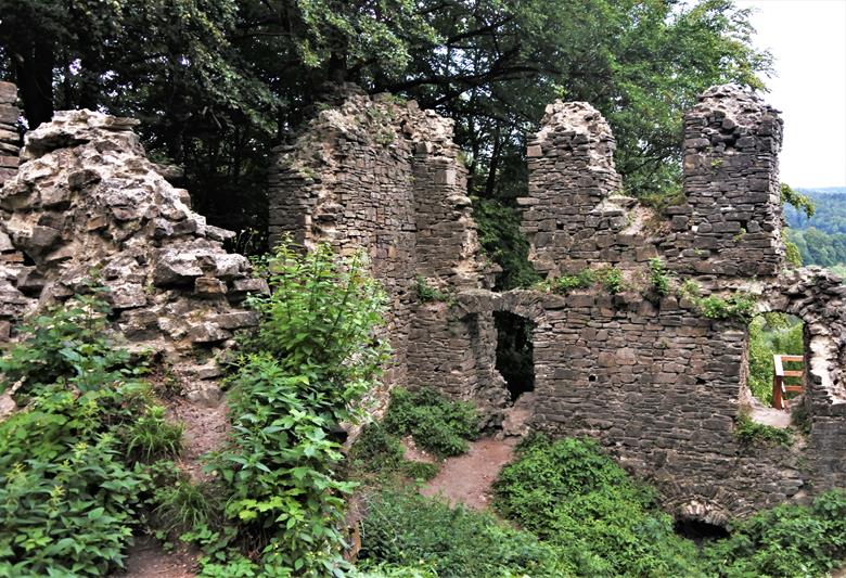 Zamek Spbień (7).JPG