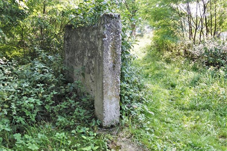 Bircza - cmentarz żydowski latem (2).JPG