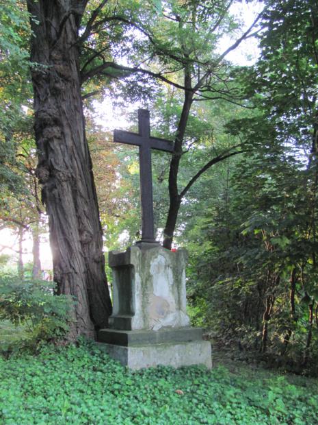Krzyż wzniesiony w miejscu śmierci Marcyjana Żeleńskiego.JPG