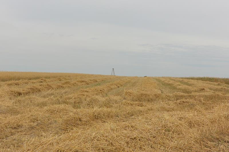 Wieża traingulacyjna - Poręba (1).JPG