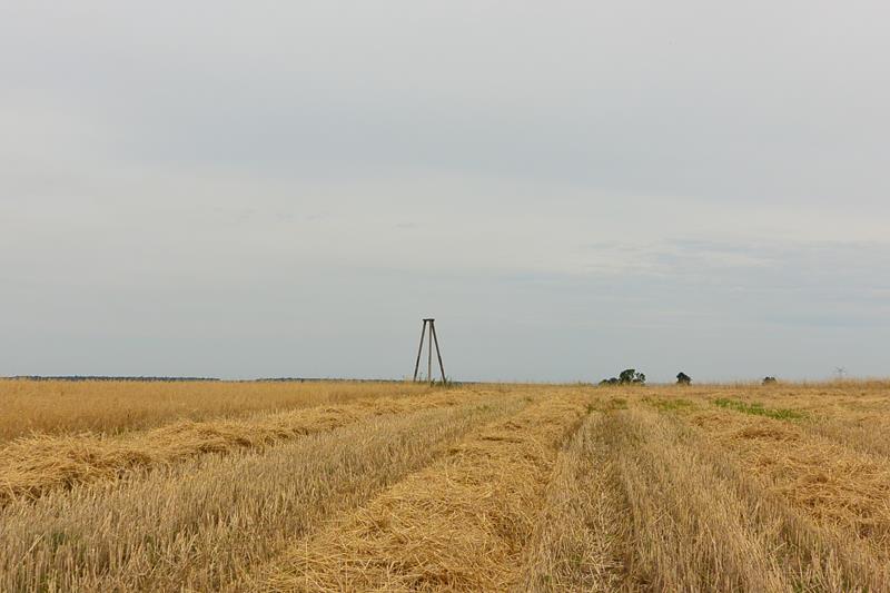 Wieża traingulacyjna - Poręba (2).JPG