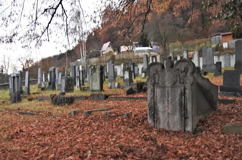Krnov - cmentarz żydowski (9).JPG