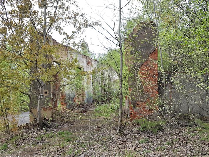 Ruiny lokomotywowni (2).jpg