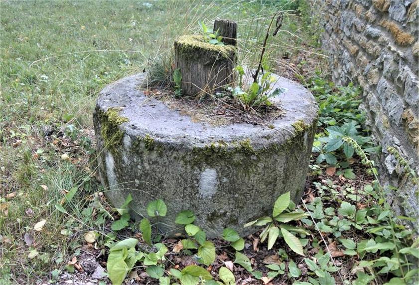 Kamień w zamkowych ogrodach (4).JPG