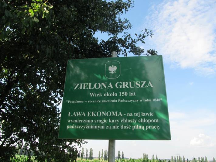 Zielona Grusza i Ławka Ekonoma (4).jpg