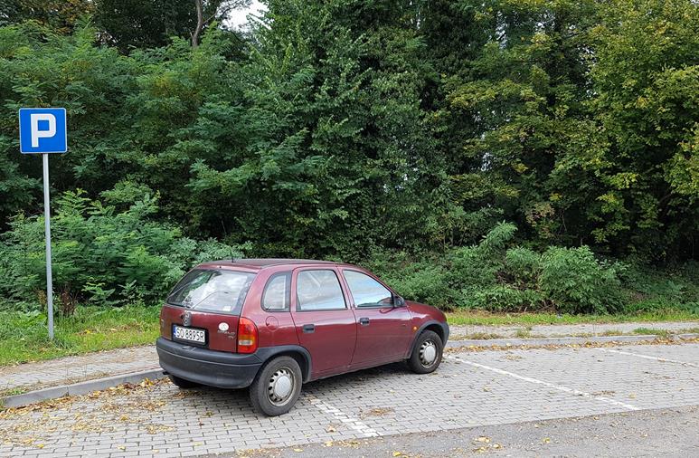 Parkowanie równoległe.jpg