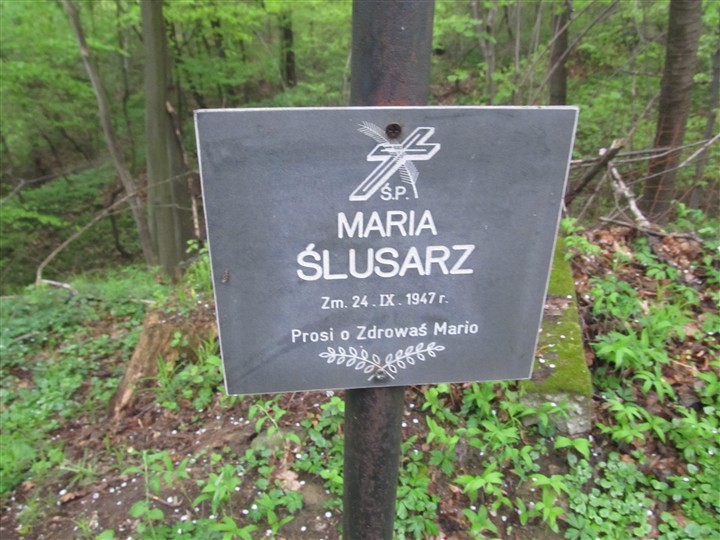 Stary cmentarz w Dziekanowicach (1).JPG