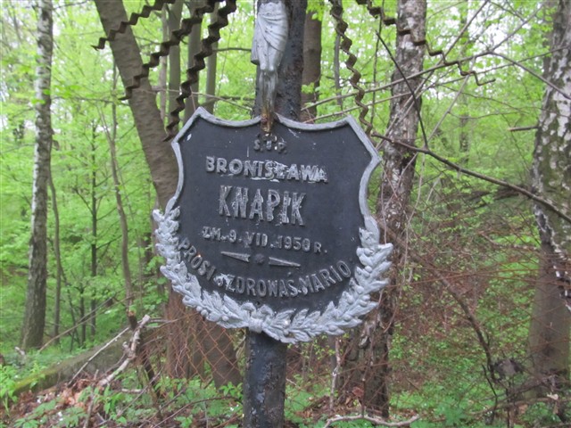 Stary cmentarz w Dziekanowicach (2).JPG