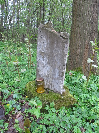 Stary cmentarz w Dziekanowicach (6).JPG