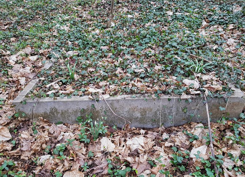 Cmentarz ewangelicki (11).jpg
