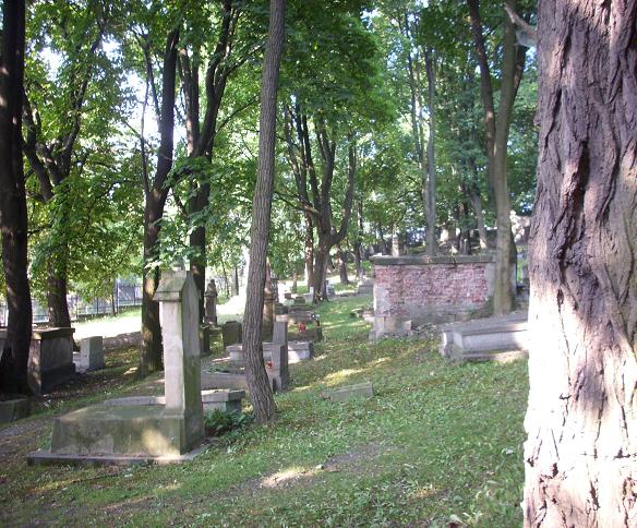 4. Stary Cmentarz w Podgórzu - lipiec 2012 r..JPG