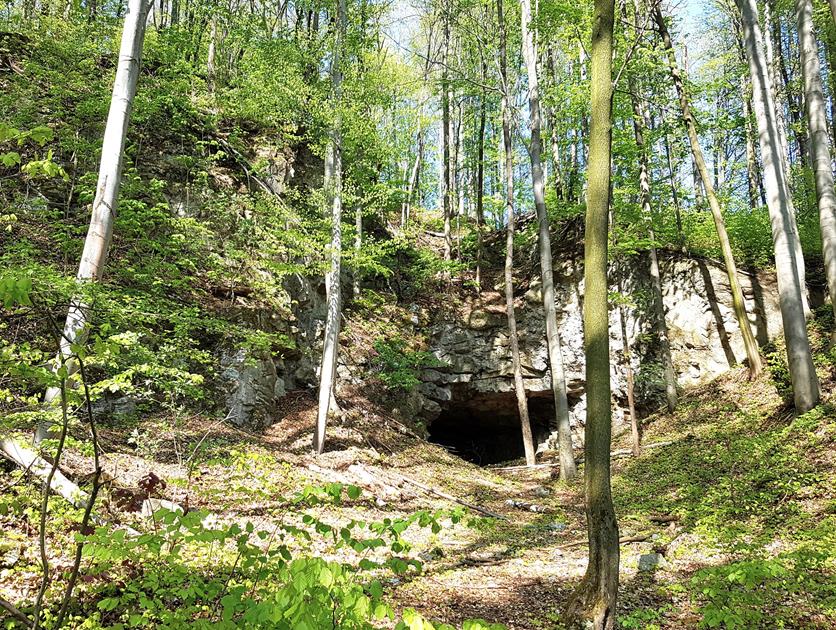 Jaskinia w Podzamku (1).jpg