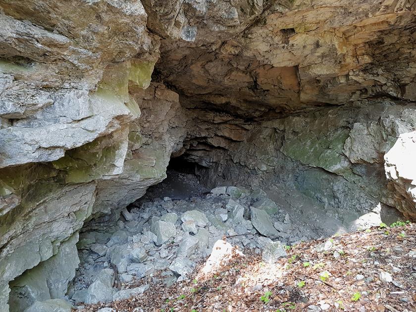 Jaskinia w Podzamku (4).jpg