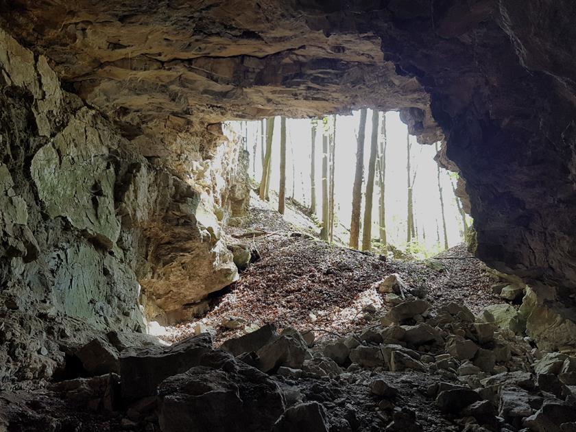 Jaskinia w Podzamku (7).jpg
