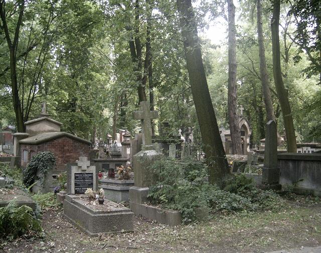 Cmentarz Rakowicki - 8.JPG