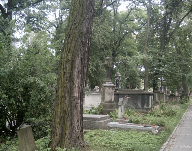 Cmentarz Rakowicki - 23.JPG