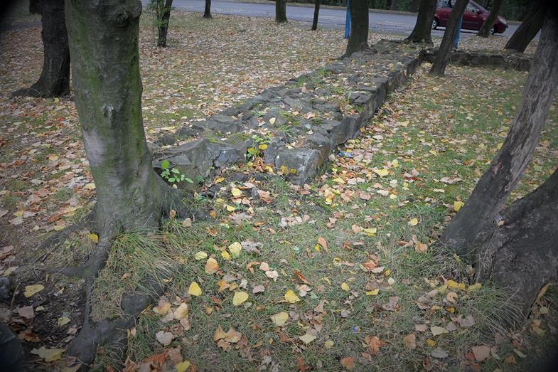 Pozostałości kamiennych murów (1).JPG