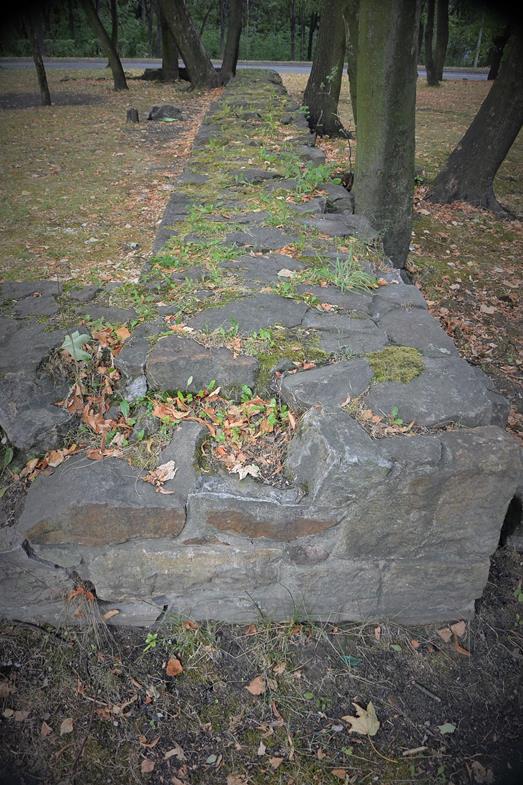 Pozostałości kamiennych murów (6).JPG