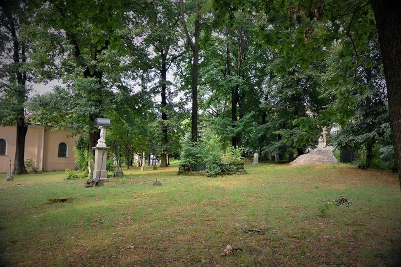 Groby na starym cmentarzu w Żywcu (12).JPG