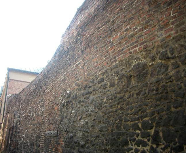 Mur przy ul. Paulińskiej - fot. 04.JPG
