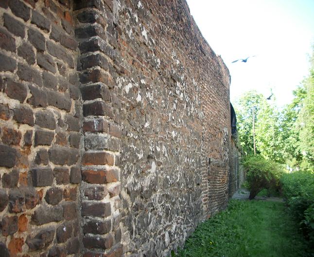 Mur przy ul. Paulińskiej - fot. 05.JPG