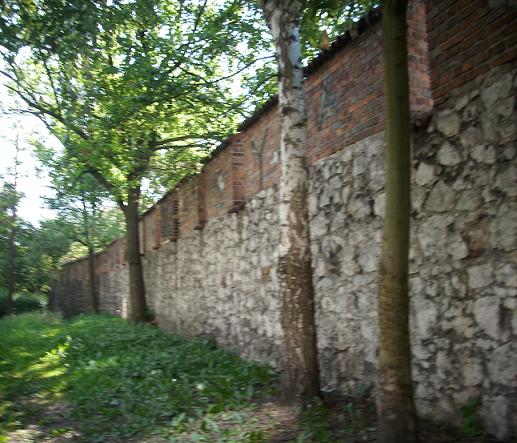 Mur przy ul. Paulińskiej - fot. 013.JPG