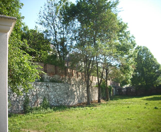 Mur przy ul. Paulińskiej - fot. 017.JPG