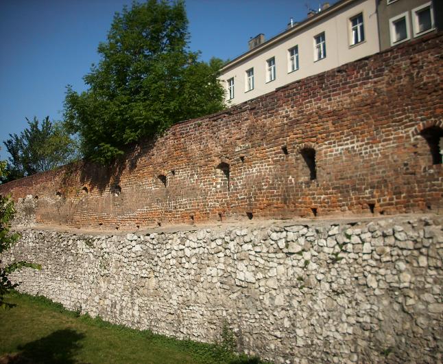 Mur przy ul. Paulińskiej - fot. 019.JPG