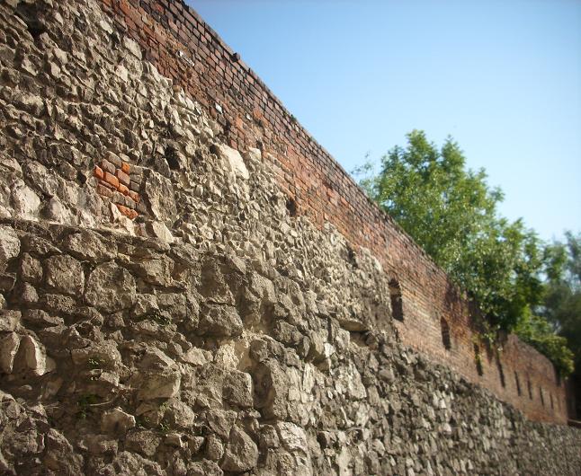 Mur przy ul. Paulińskiej - fot. 021.JPG