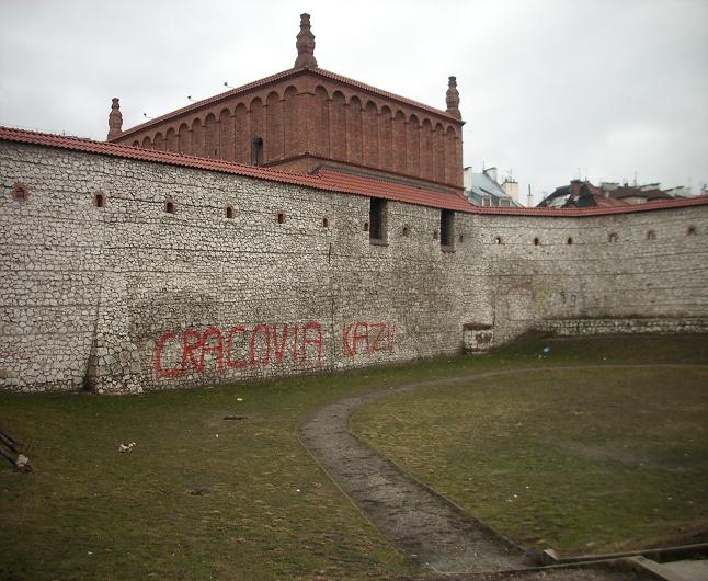 Mur przy ul. Dajwór - fot. 10.JPG