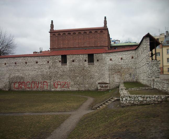 Mur przy ul. Dajwór - fot. 9.JPG